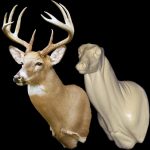C081 Upright Buck Shoulder