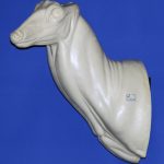 C082 Upright Buck Shoulder