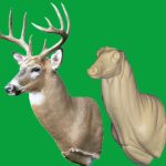 C087 Upright Buck Shoulder