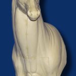 C1002 Steppin' Out Aggressive