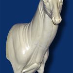 C1003 Steppin' Out Aggressive