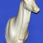 C105 Upright Buck Shoulder