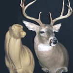 C138L Offset Buck Shoulder (Sweep)