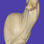 C140 Upright Offset Buck Shoulder ( Sweep)