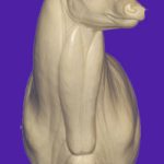 C145 Offset Buck Shoulder (Sweep)