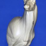 C150 Upright High Offset Buck Shoulder (Sweep)