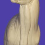 C152 Offset Buck Shoulder