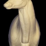 C154 Upright Offset Buck Shoulder