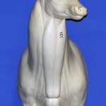 C155 Offset Buck Shoulder (Sweep)