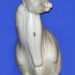 C161 Offset Buck Shoulder