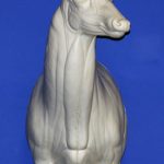 C164 Upright Buck Shoulder