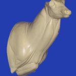 C166 Semi Upright - Buck Shoulder