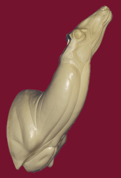 C168 Open mouth Specialty