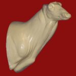 C173 Semi Upright - Buck Shoulder