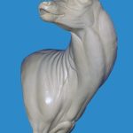 C181 Pivot Pedestal Flehmening Right Turn