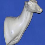 C409 Upright Buck Shoulder
