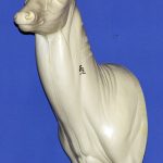 C414 Upright Buck Shoulder