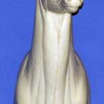 C449 Upright Buck Shoulder