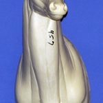 C457 Upright Buck Shoulder