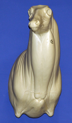 C491 Upright Buck Shoulder