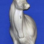 C505 Semi Upright Offset Buck Shoulder (Sweep)