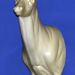 C513 Semi Upright - Buck Shoulder