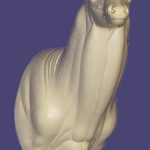 C519 Semi Upright Buck Shoulder