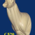 C520 Semi Upright - Buck Shoulder