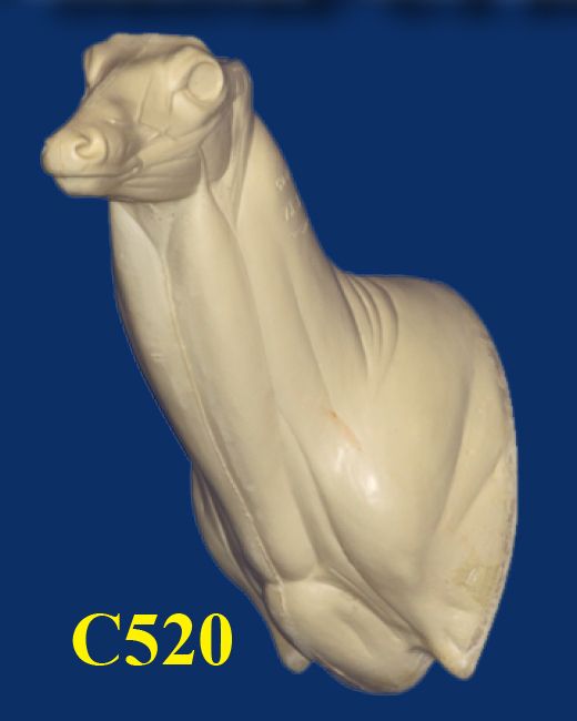 C520 Semi Upright - Buck Shoulder