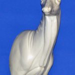 C523 Semi Upright - Buck Shoulder