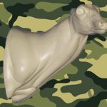 C701 Semi-Sneak Buck Shoulder