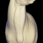 C703 Semi-Upright Buck Shoulder