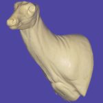 C716 Semi-Sneak Buck Shoulder