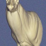 C726 Semi-Sneak Buck Shoulder