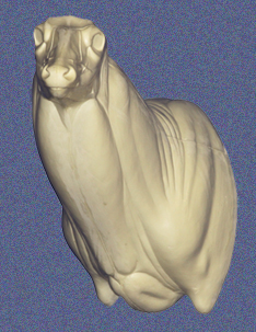 C726 Semi-Sneak Buck Shoulder