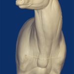 C740 Semi Upright Offset