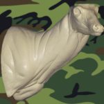 C743 Semi-Sneak Buck Shoulder