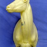 CA021 Antelope Upright Hard Right Turn