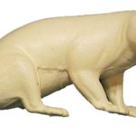 CBD1 Badger - Sitting