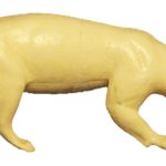 CBD27 Badger - Walking, Head Down