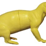 CBD29 Badger - Front Raised