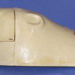 CBR4 Black Bear Rugshell - X Large