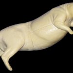 CBV6 Beaver Swimming - Peter Knapton