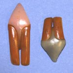 CBVT Beaver Teeth - Large