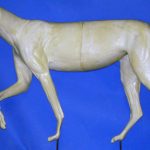 Coyote Standing Right Leg Up - Peter Knapton