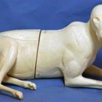 CC037 Coyote - Peter Knapton