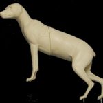 CC042 Coyote - Peter Knapton