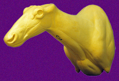 CCB13 Caribou Semi Sneak Right Turn Shoulder Mount