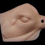 Champions Choice Whitetail Relaxed Eye Reference Cast - CCERCR