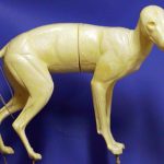 CC038 Coyote - Peter Knapton